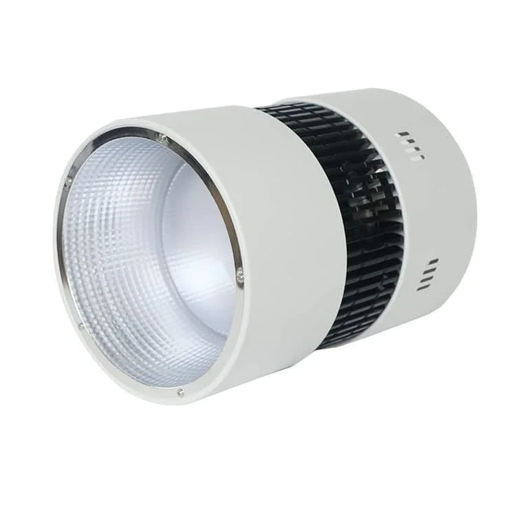 Aufbaudownlights 100w