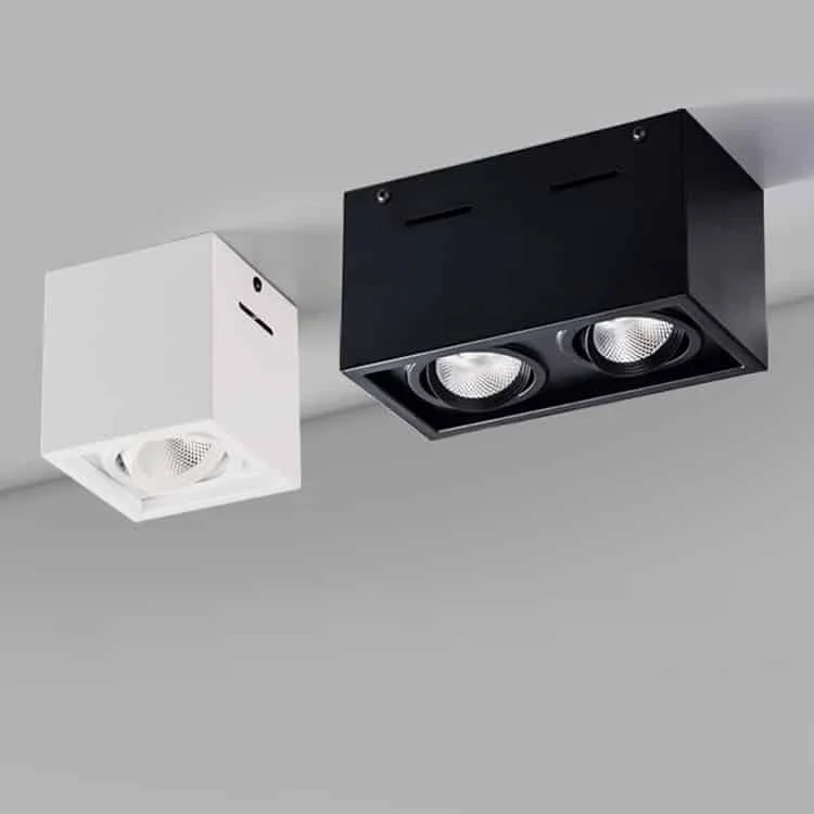 Aufbau-Downlights mit einem oder zwei schwenkbaren Strahlern