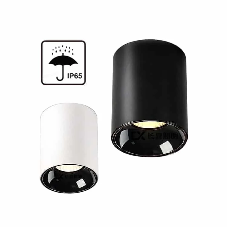 Zylindrisches IP65-Downlight zur Aufbaumontage