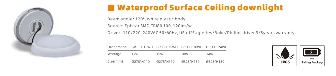 Deckenaufbaudownlight